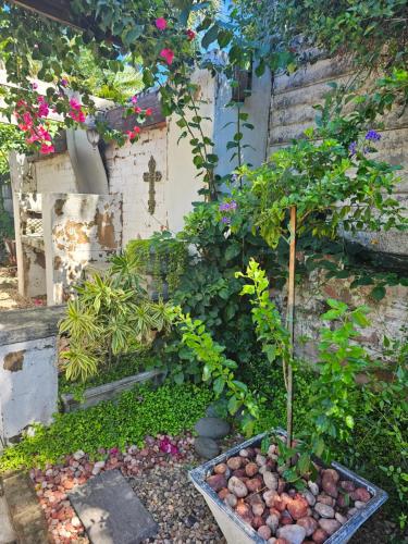 a garden with a small tree in a bowl of rocks at Le'Cottage Scottburgh in Scottburgh