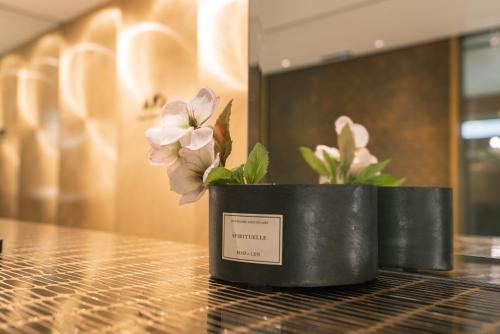 two black pots with flowers on top of a counter at Y11 hotel azabu ten in Tokyo