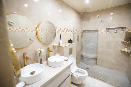 a bathroom with a sink and a toilet and a shower at Magnifique maison de vacances à paris in Paray-Vieille-Poste