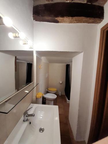 bagno con lavandino e servizi igienici di Agorà a Montecatini Val di Cecina