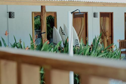 Κήπος έξω από το Suzi Beach House Mentawai