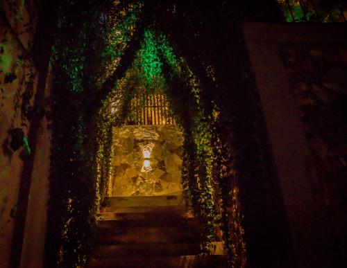 a dark hallway with green trees and a staircase at Ever Breeze Ella Hotel in Ella