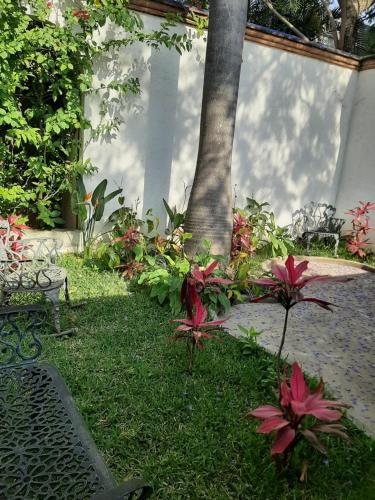 un jardin avec des fleurs rouges devant un arbre dans l'établissement Quinta Zana Hotel Boutique Sc, à Cuernavaca