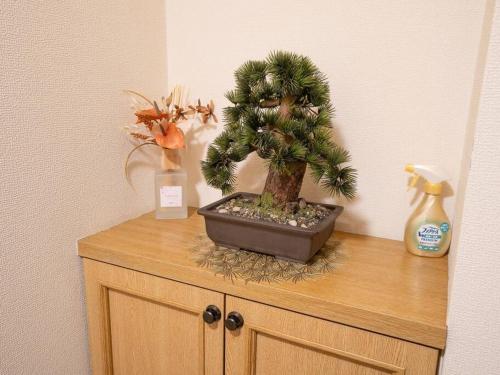 a bonsai tree sitting on top of a wooden cabinet at 402号室貸切！2DK/京成佐倉駅徒歩3分・電車成田空港20分/2部屋/厨房/風呂/畳/家具綺麗！ in Sakura