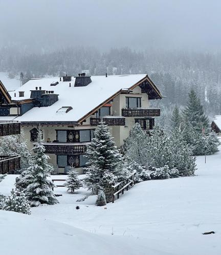 Apartment with ski-in ski-out access and fireplace