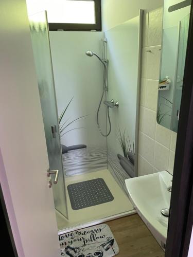 Bilik mandi di Ferienhaus in der Rhön