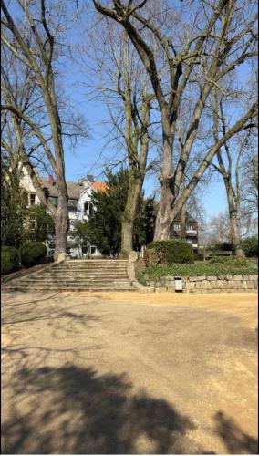a group of trees and stairs in a yard at Stilvolle Luxus City-Apartment in Viersen