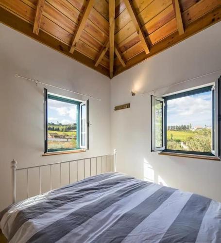 a bedroom with a large bed with two windows at Quinta Boa Vida in Alcobaça