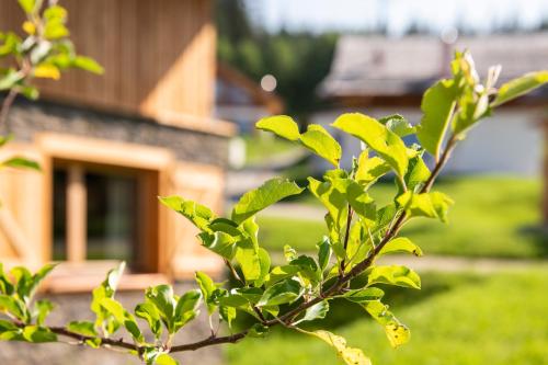 a tree with green leaves in front of a house at Lerchpeuntgut Almchalets in Tamsweg