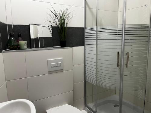 a bathroom with a shower and a toilet and a sink at Karli‘s Plätzchen in Gera