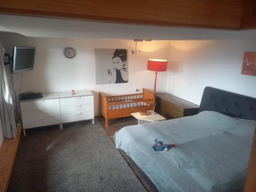 1 dormitorio con 1 cama, 1 cuna y TV en Niesenblick en Aeschlen