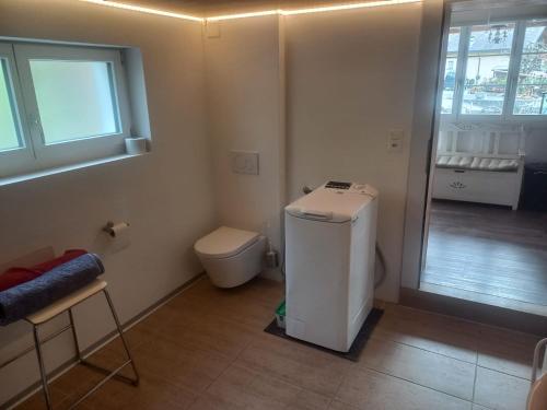 a small bathroom with a toilet and a window at Niesenblick in Aeschlen ob Gunten