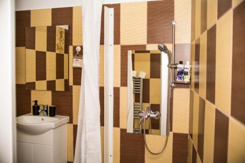 a small bathroom with a sink and a shower at Studio Sonia - Tordosan Central - #5 in Sibiu