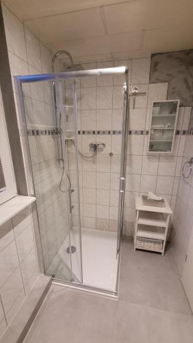 a shower with a glass door in a bathroom at Hollestübchen in Lichtenau