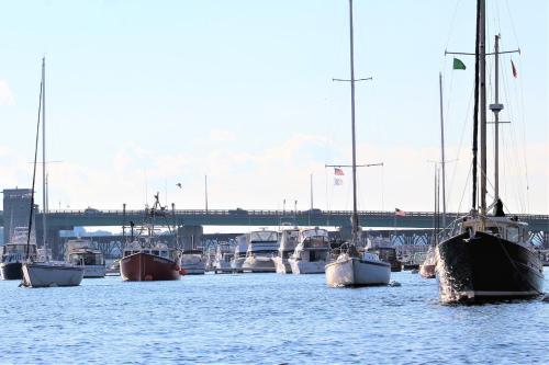 a group of boats docked in a harbor with a bridge at Steps to Downtown Rooftop Deck Flexible Temp Stay in Newburyport