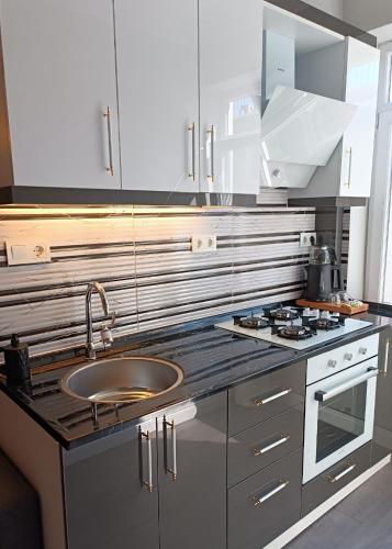 Kuchyň nebo kuchyňský kout v ubytování Little Palace Blue Apartment