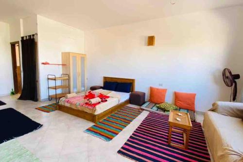 a living room with a bed and a rug at Lighthouse studio in Dahab