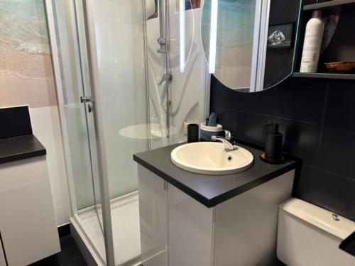 une salle de bain avec un lavabo et une douche dans l'établissement Studio La Frégate, à Dinard