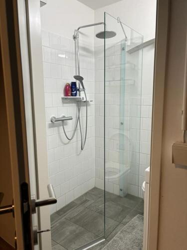 ein Bad mit einer Dusche und einer Glastür in der Unterkunft Trendy Souterrain Loft - Near City Center in Wien