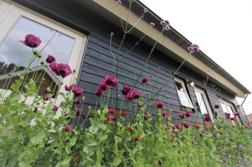 a bunch of flowers in front of a house at bloom-inn gastvrij genieten in Doornenburg