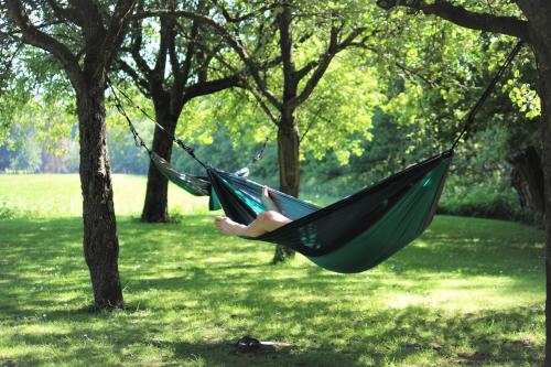 a person lying in a hammock in a park at Vakantiehuis bloom-inn gastvrij genieten in Doornenburg