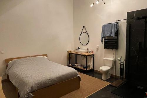 - une chambre avec un lit, un lavabo et des toilettes dans l'établissement Pépé grange rénovée, à Annoire