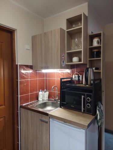 a small kitchen with a sink and a microwave at Pokoje gościnne Brzozowa 14 in Zakopane