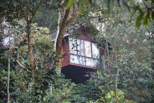 una casa en el árbol en medio del bosque en TREE6 WAYANAD, en Vythiri