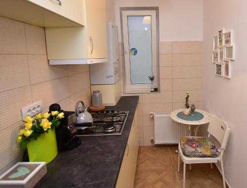 a small kitchen with a stove and a sink at Near Cathedral Central Studio in Bucharest