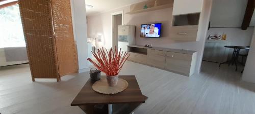 a living room with a table and a tv at B&B Nonna Antonietta in Sibari