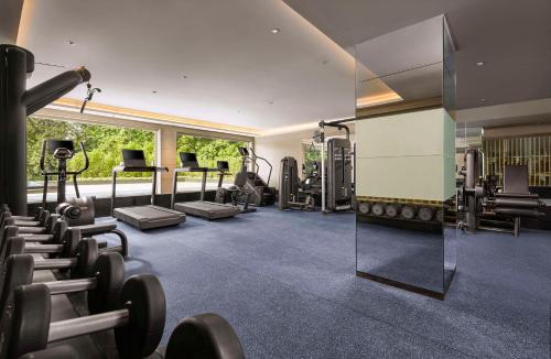 a gym with a bunch of equipment in a room at Hyatt Centric Sector17 Chandigarh in Chandīgarh