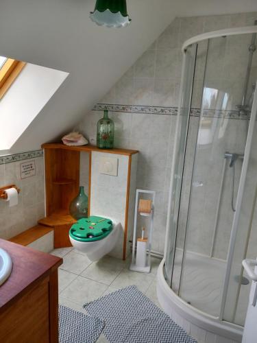 ein Bad mit einer Dusche und einem WC in der Unterkunft B AND B Chambres d'Hôtes Les Falaises in Saint-Léonard