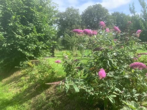 a garden with pink flowers in the grass at Unter Eichen in Uplengen