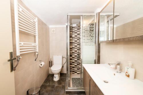 a bathroom with a toilet and a walk in shower at Four Reasons Apts Ntepo in Thessaloniki