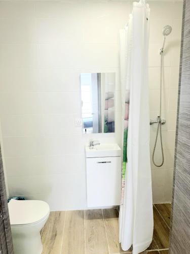 bagno con servizi igienici, lavandino e specchio di Apartamentos Aeropuerto Valencia a Manises