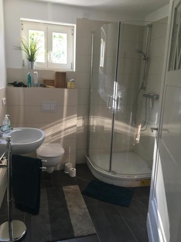 a bathroom with a shower and a toilet and a sink at Forsthaus am See Lychen in Lychen