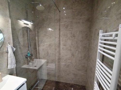 a shower with a glass door in a bathroom at Zemun blue star in Zemun