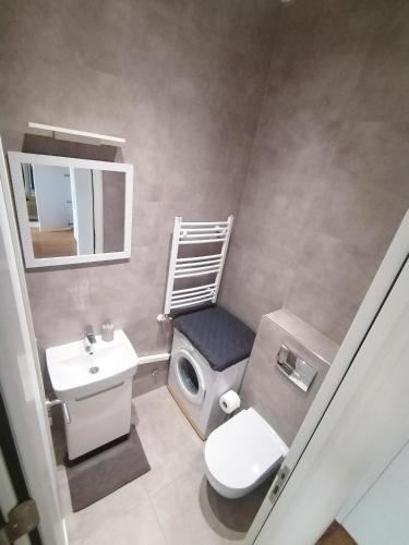 a small bathroom with a toilet and a sink at Zemun blue star in Zemun