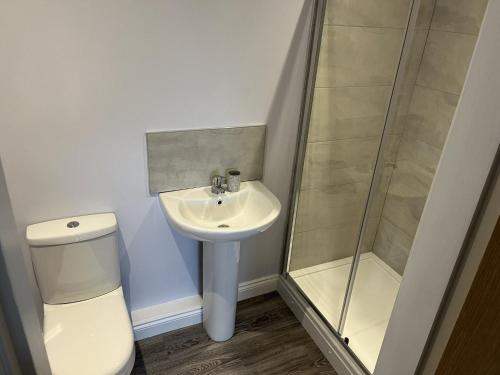 a bathroom with a toilet and a sink and a shower at Tunstall Farm Cottage in Tunstall