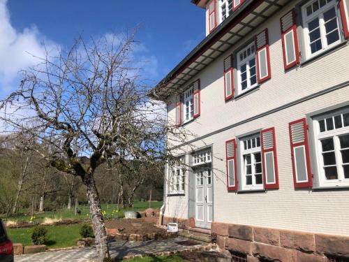 a tree in front of a white building with red shutters at Ferienwohnung am Stockerbach in Freudenstadt