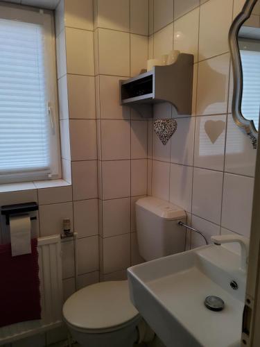 a small bathroom with a toilet and a sink at Studio-Apartment mit kleinem Gartenanteil in Burg auf Fehmarn