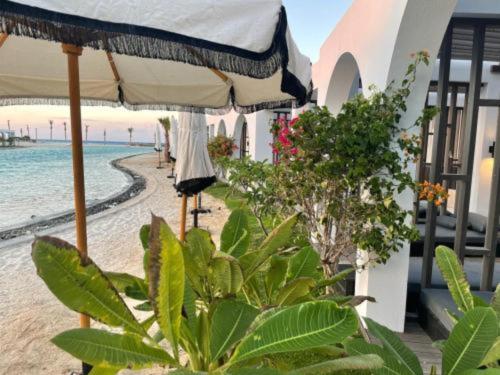 a beach with an umbrella and some plants and the ocean at Le Sidi Cabanas Hacienda Bay in El Alamein