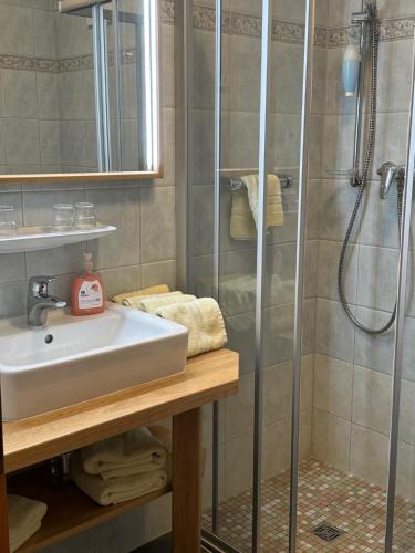 ein Bad mit einem Waschbecken und einer Dusche in der Unterkunft Hotel am Spreebogen in Burg