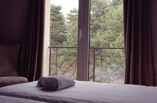 a bed in a bedroom with a large window at Hotel Hita "Nature Experience" for all in Navacerrada