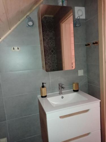 a bathroom with a sink and a mirror at Agroturystyka Przy Siole Budy in Białowieża