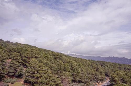 a view of a forested hill with power lines at Hotel Hita "Nature Experience" for all in Navacerrada