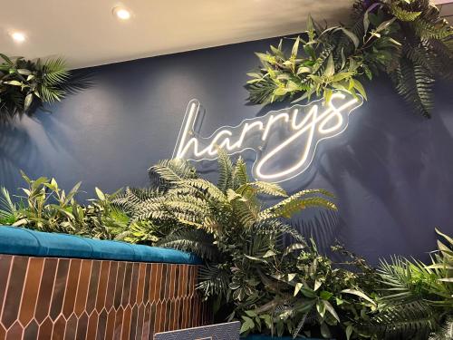 a neon sign on a wall with plants at Harrys lounge in Whitby