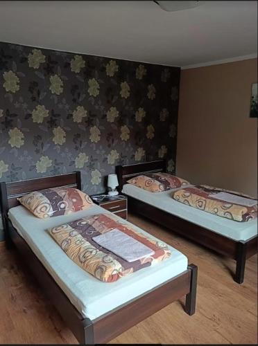 a room with two beds and a wall at Antonówka pod Dudziarzem in Radomierz