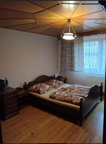 a bedroom with a large bed with a ceiling at Antonówka pod Dudziarzem in Radomierz