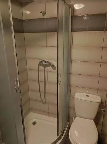 ein Bad mit einer Dusche und einem WC in der Unterkunft Antonówka pod Dudziarzem in Radomierz